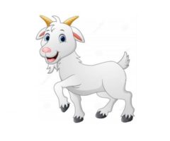 https://theherdstop.desertsagesolutions.com/uploaded-images/goats/cartoon-goat-240x200.jpg